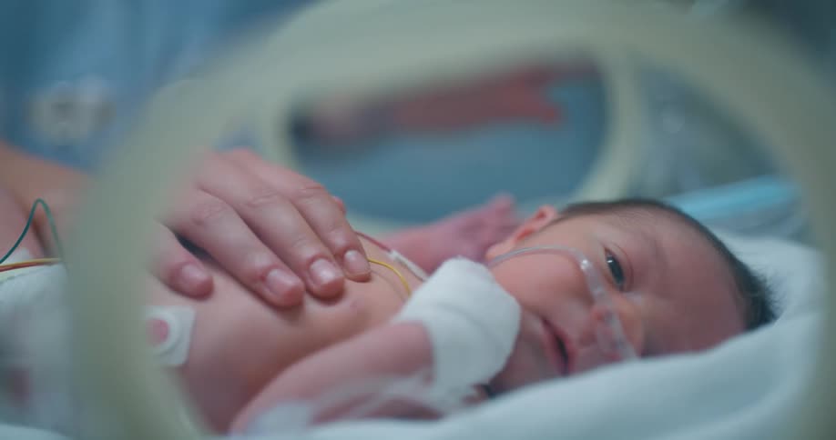 A mom puts her hand through the opening and places it on her babies chest in the nicu