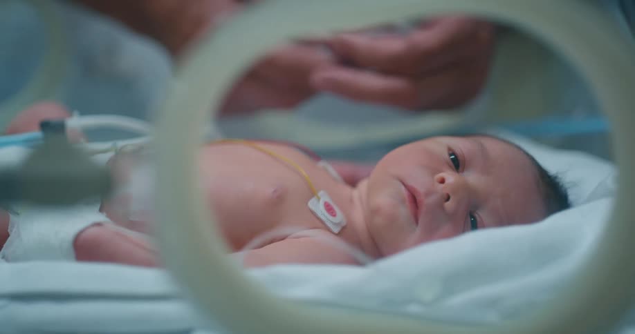 Newborn baby inside an incubator in a hospital