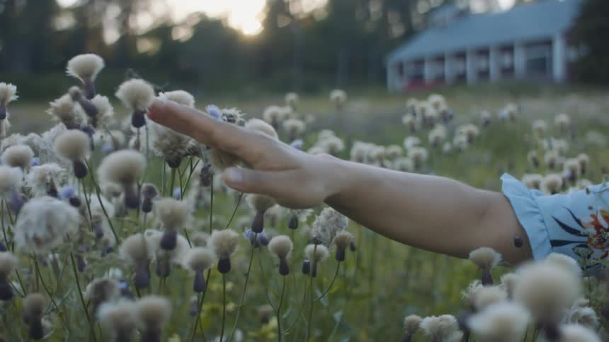 Woman in a meadow running her hand over some flowers
