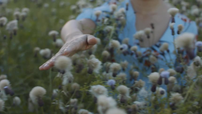 Woman running her hand over flowers in a flower field