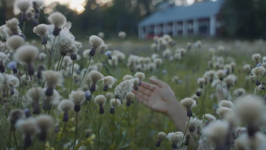 A young woman sits among the tall grass of a field while stroking a flower with her fingers