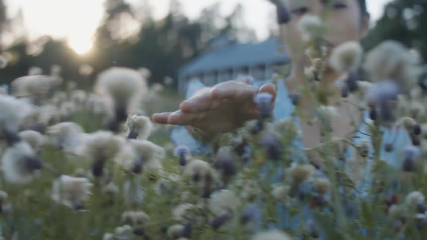 Woman brushes hand over flowers in meadow near large house as sun turns sky pink