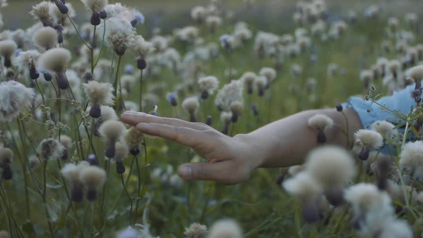 A woman is touching flowers outdoors