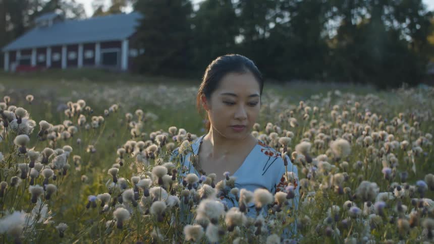 A woman is standing in a field of flowers