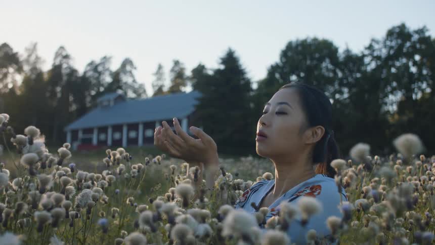 Woman blowing a flower into the air standing in a meadow full of flowers