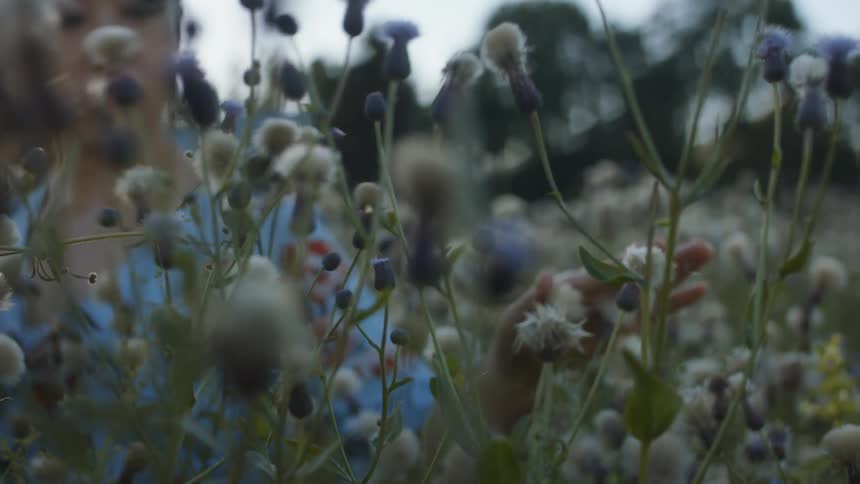 An asian woman stands outside in a field of flowers with her hand touching the flowers at dusk