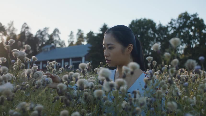 A woman is standing in a field of flowers at dusk