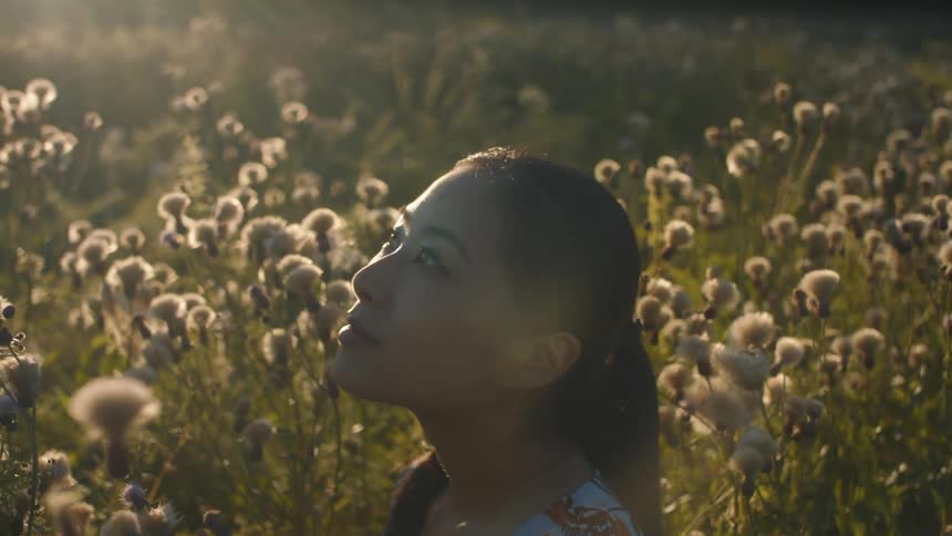 A woman is sitting in a field of flowers at dusk