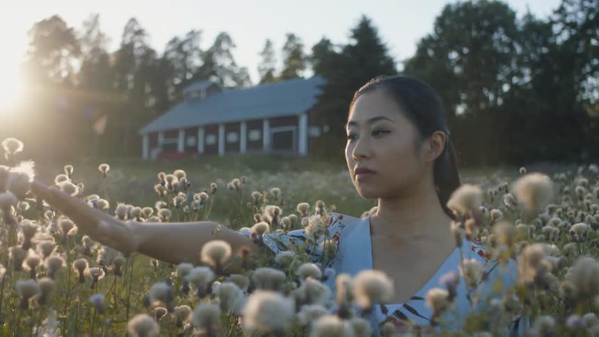 A young asian woman touches flowers in a field in a rural area