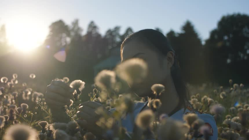 Woman looking at a flower in a flower field