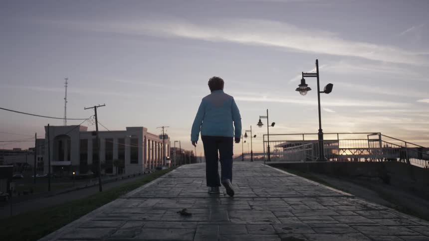 A person is walking down a stone road near the water at sunset