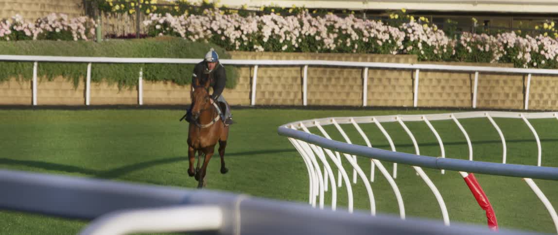 A jockey rides a horse on a race track during the day