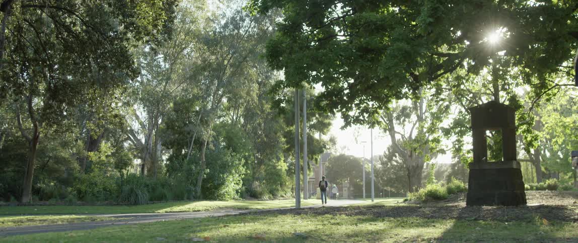 Man walking on a road through the park at daytime