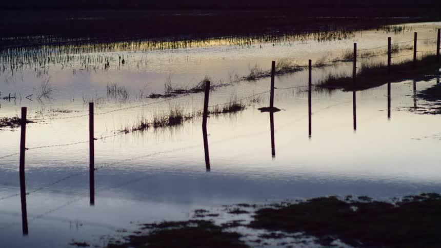 Water flooded under a barbed wire fence and in a grass field