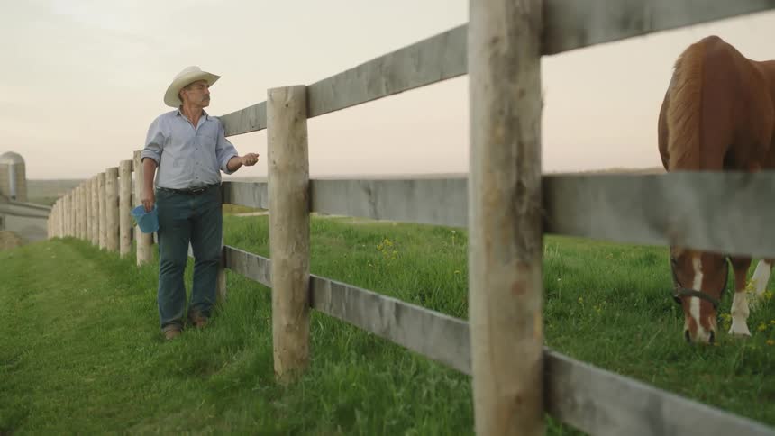 A man is feeding his horse behind the fence