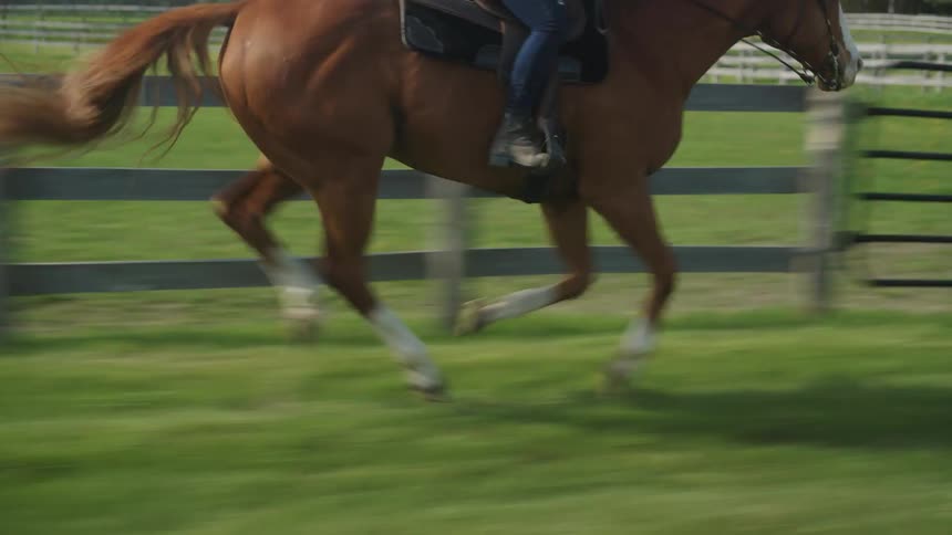 Woman riding over a brown galloping horse near the wooden fences on a ranch
