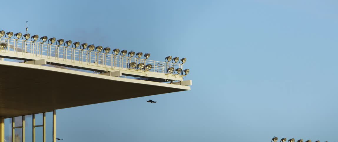 A bird soaring from a platform in the daytime