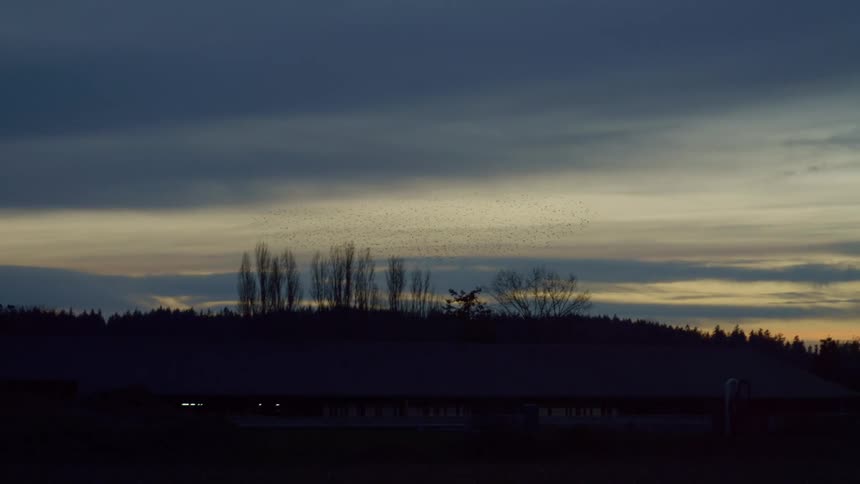 A shot of a hill at dusk