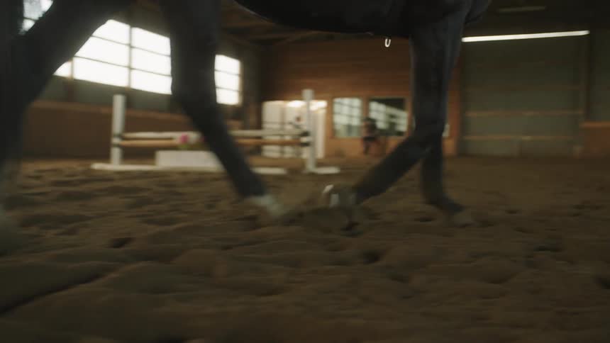 A horse walking in a barn