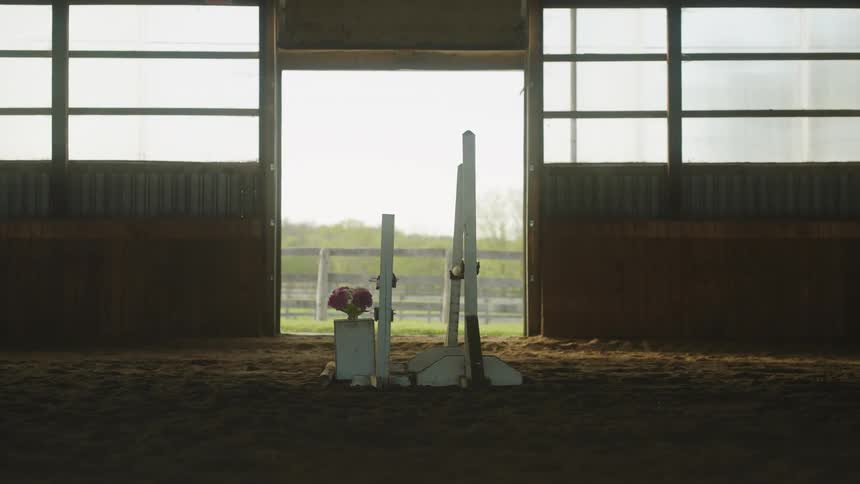 A person riding a horse and jumping over a hurdle