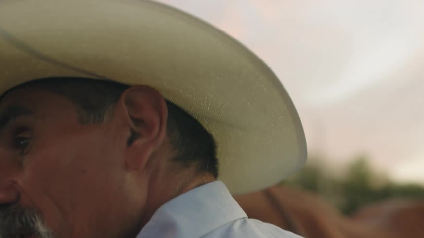 A man with a cowboy hat preparing a horse with trees the sky and clouds in the background