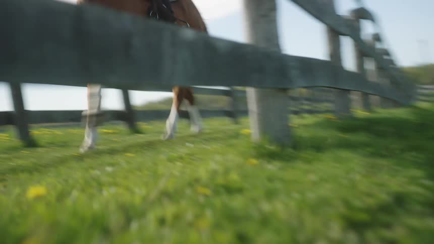 A person rides a horse in a fenced in area of a ranch