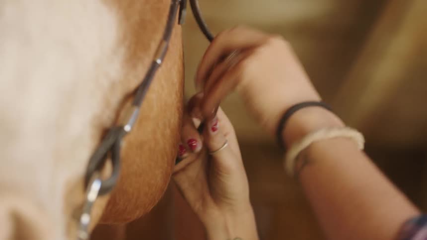 A woman putting a harness on a horse