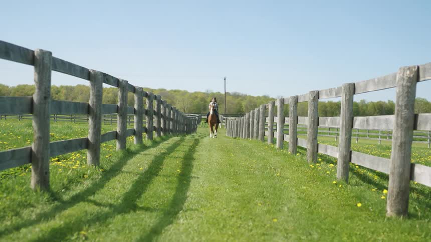 Woman riding a horse between wooden fences over green grass in a ranch