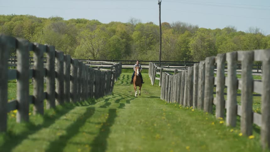 A woman riding a horse with trees the sky and clouds in the background