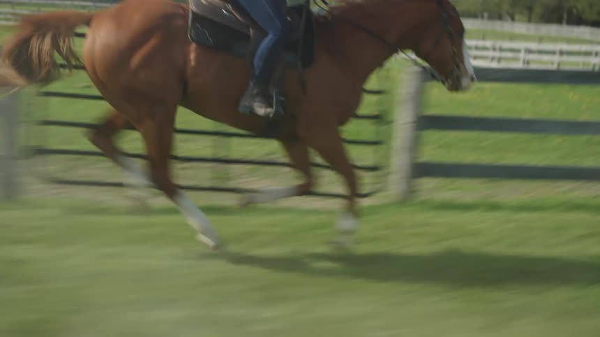 A woman on a racing horse