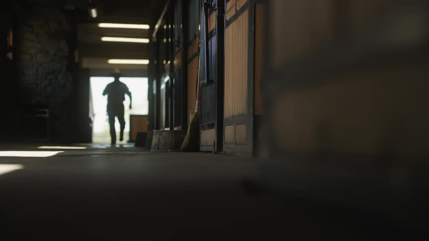 A man walks down the horse stable