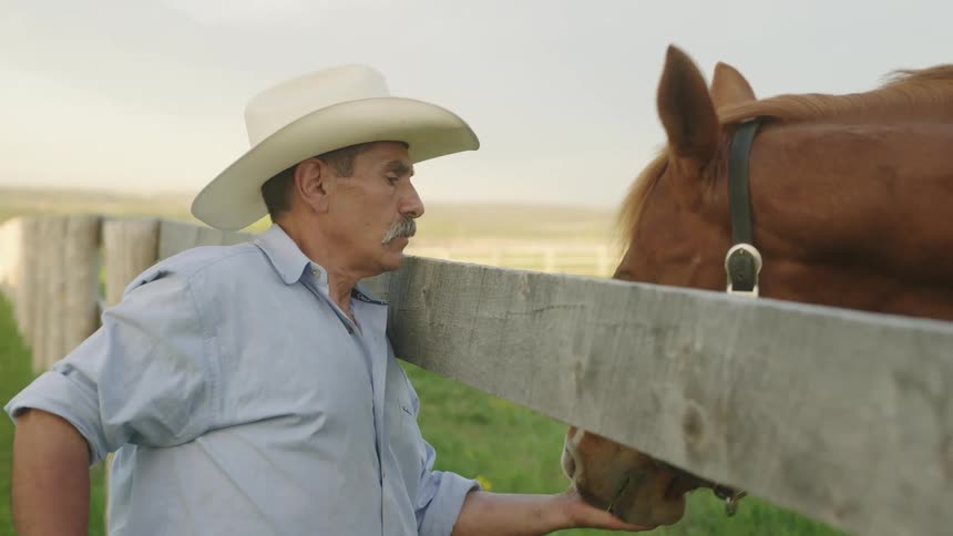 A rancher feeding a horse throug a wooden fence in a ranch at daytime