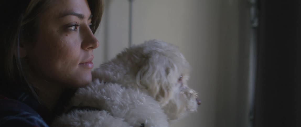 Woman with brown hair and plaid shirt holds white small dog in room