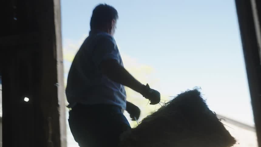 Man carries hay bales from the inside of a barn to the outside
