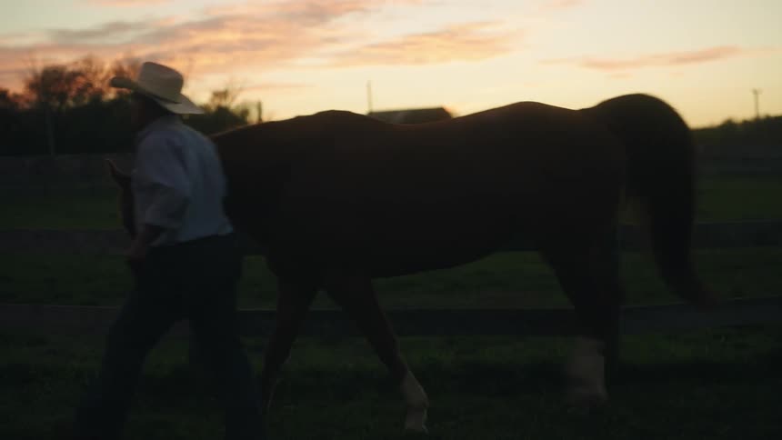Man walks a horse down a field at dusk