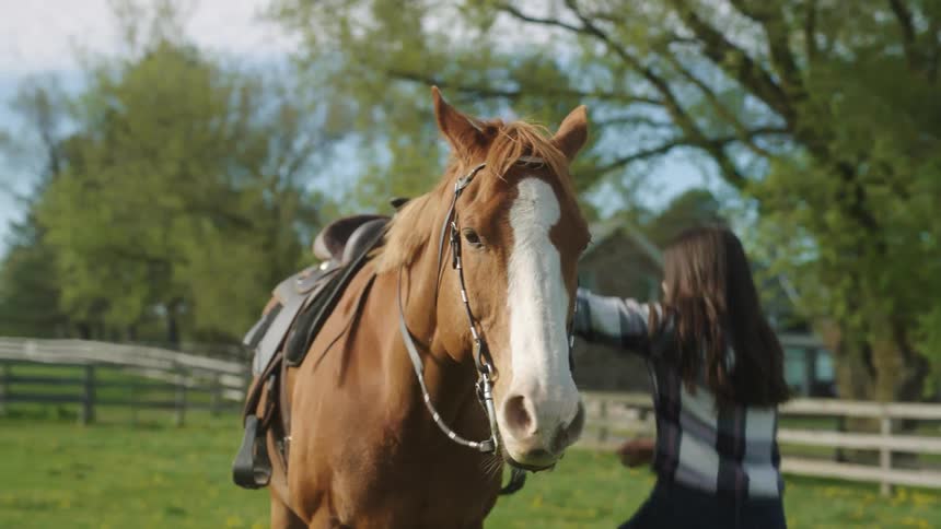 A woman pets her horse and then gets on it and rides away