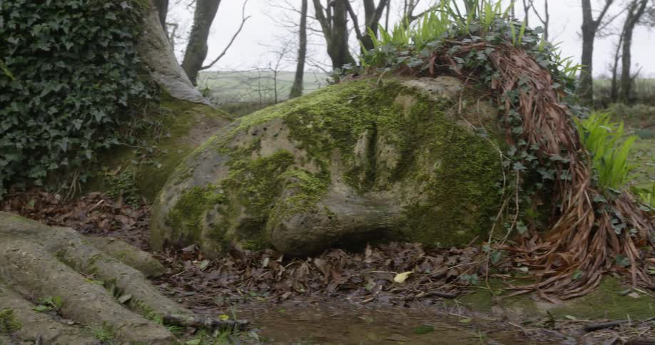 Boulder face covered in moss with trees and grass around