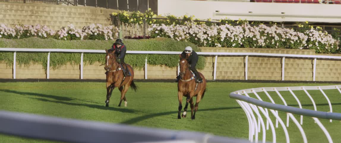 Two people racing horses in an arena