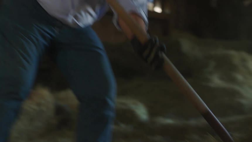 A man in a barn shoveling hay with a pitchfork