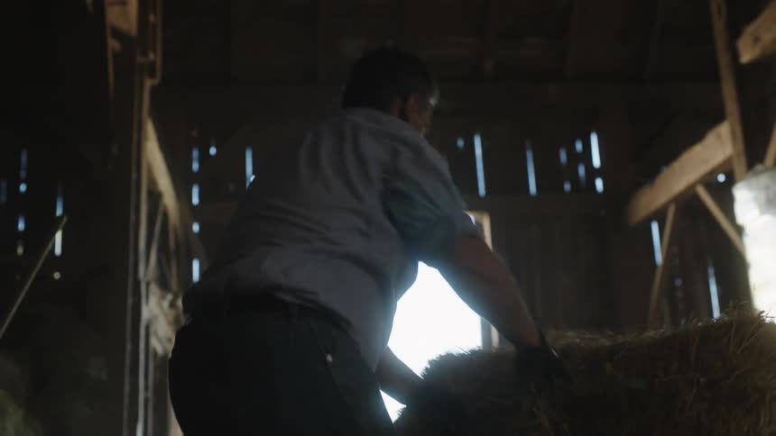 A man is tossing bales of hay in the barn