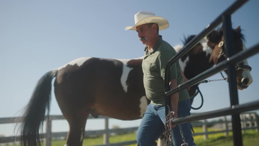 A man brings a brown and white horse into wooden ranch enclosure at daytime then closes the metal door