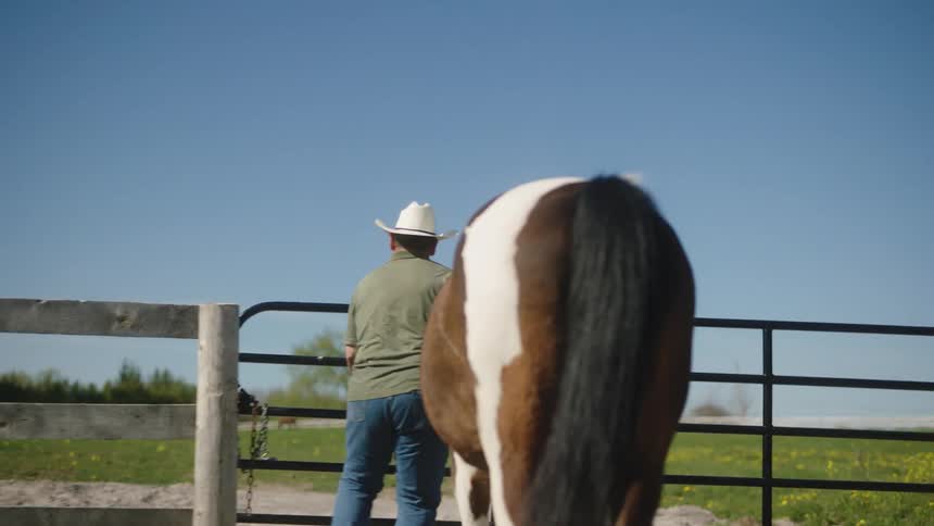A man walking a horse into a pasture