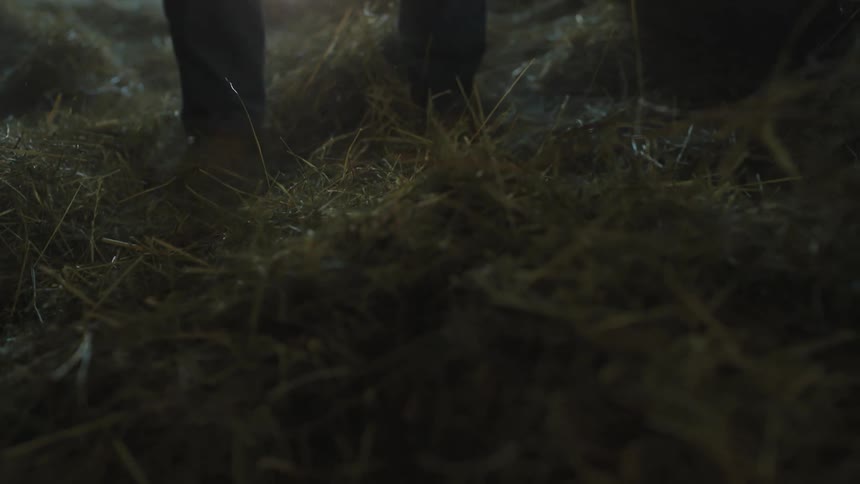 A graying man rakes hay in a barn during the day