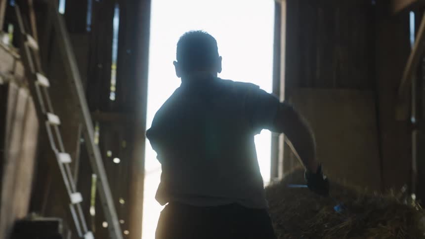 A man picks up a hay bale and carries it and throws it out of a barn