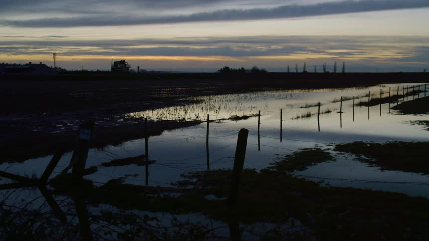 Landscape view of a marsh with the sun setting in the distance