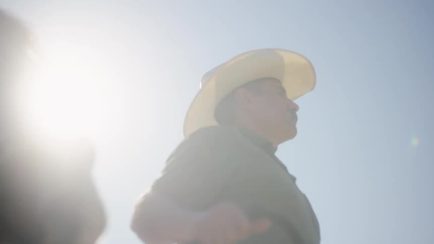 Man leads horse away from building on bright sunny day