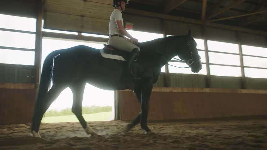 Man training a horse on an indoors track at a ranch