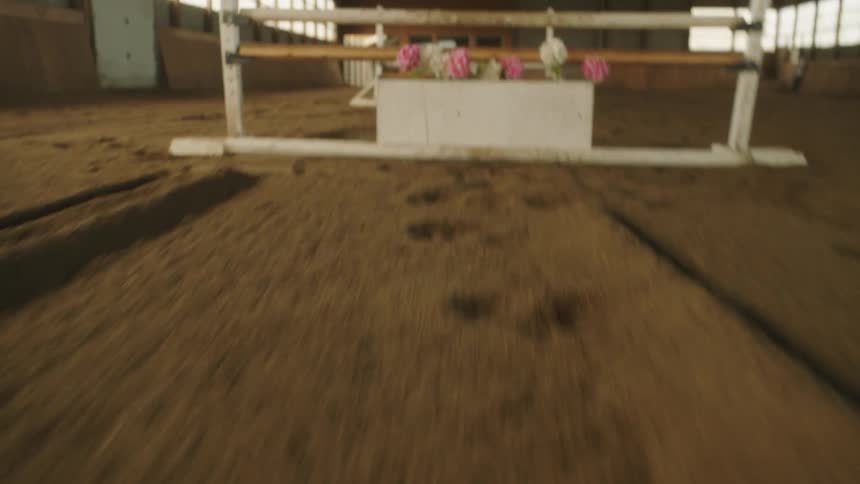 A person running up to a horse jumper