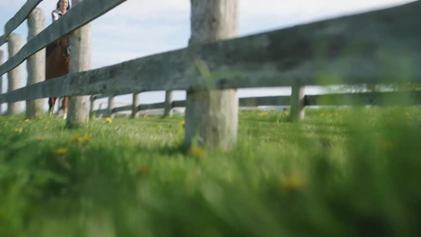A woman is riding a horse in spring