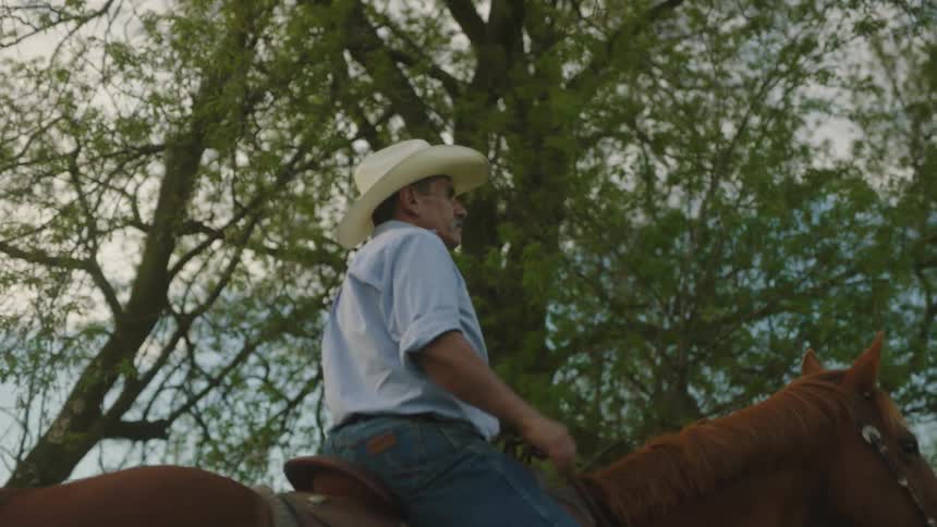 A man with a cowboy hat riding a horse with trees the sky and clouds in the background